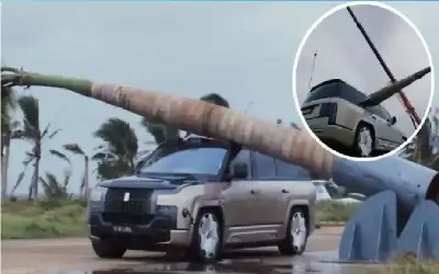 سلامات للعقيد عامر بيك السرطاوي