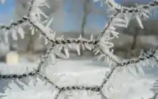 تحذير من الصقيع والانجماد .. انخفاض