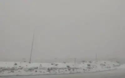 4 لاعبين عرب في نصف نهائي