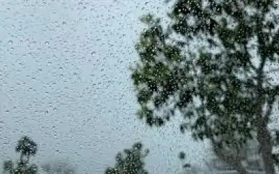 الحراك السياسي.. هل يوقف حرب غزة