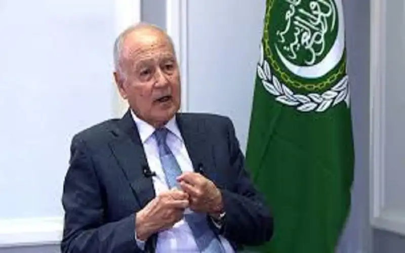 أبو الغيط لـالمملكة: الدبلوماسية الأردنية نشطة