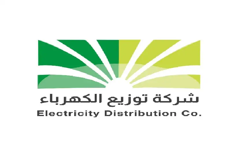 توزيع الكهرباء تطلق منصة رقمية مدعومة