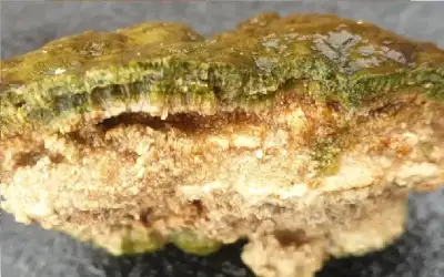 قرار بإعادة فتح المسابح اعتبارا من