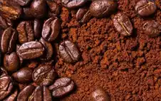 القهوة تنقي المياه