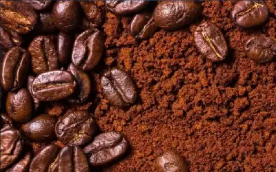 حماس: ندعم طلب الأمم المتحدة لهدنة