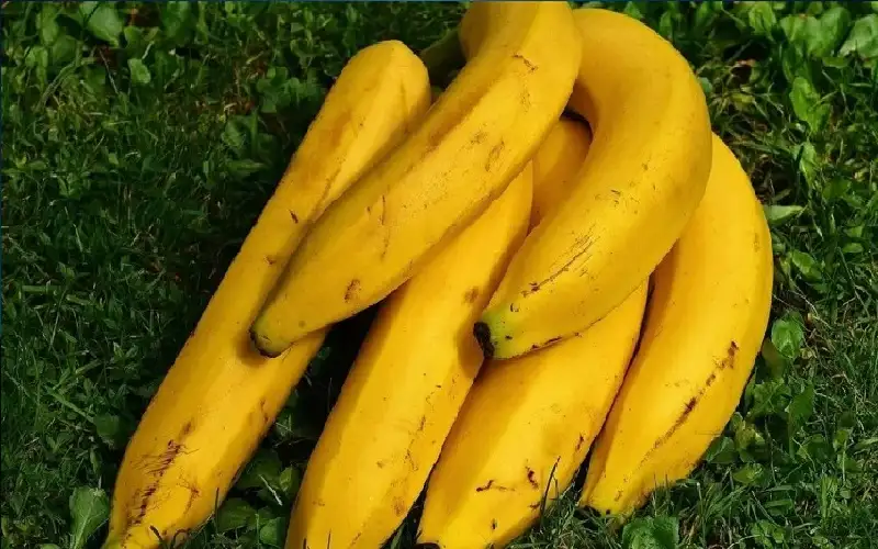 طبيب يحذر.. 3 أنواع من أدوية