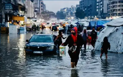 كلب يتلقى أربع رصاصات بدلا من