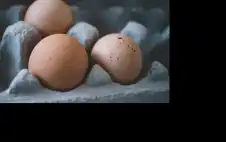 أطعمة تحتوي على بروتين أكثر من