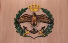 strongالأردنstrong يشارك في عملية استهداف مواقع