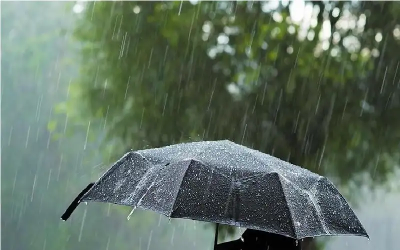 89 يوما ودخول المربعانية .. ماذا