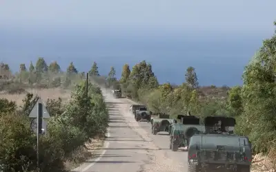 لا اصابات بكورونا في اربد