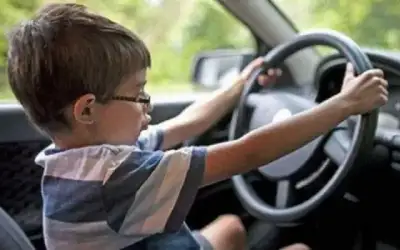 اتحاد كرة القدم يختتم دورة الحكام