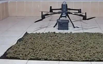 بالفيديو: إنه شيء جنوني حقا :