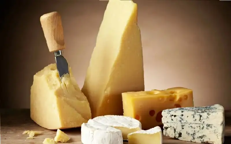 مفاجأة.. طعام غني بالدهون يرتبط بتقليل