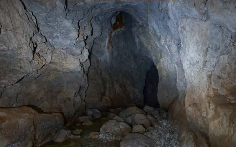 في قلب الظلام.. بصمات غامضة تحكي