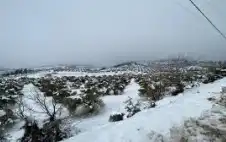 شتاء 2025-2026 أبرد من الطبيstrongعيstrong وفرص