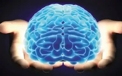 آل نهيان يهنئ هاتفيا الملك بخطوبة