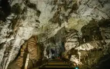 عمرها 20 ألف عام.. ماذا وجد