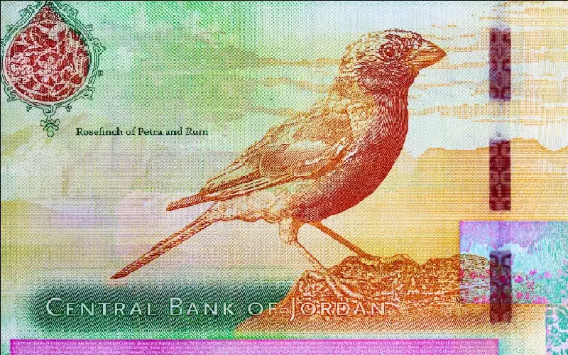 صندوق النقد: قدرة الأردن على سداد