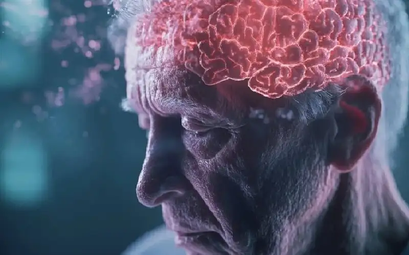 أنفاق خفية في الدماغ تكشف لغز