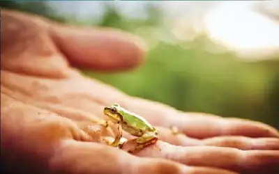 الباص السريع يدهس مواطنا بالقرب من