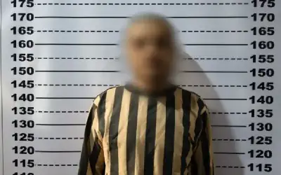 3 إصابات بتصادم 5 مركبات في