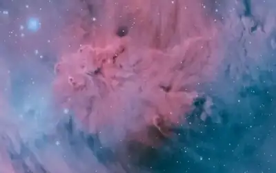 سرق مسجدا في الأغوار الشمالية ..