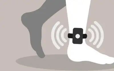 %9.96 نسبة الاقتراع العامة في الانتخابات