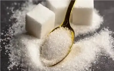 ترفيع عدد من الزملاء في بترا