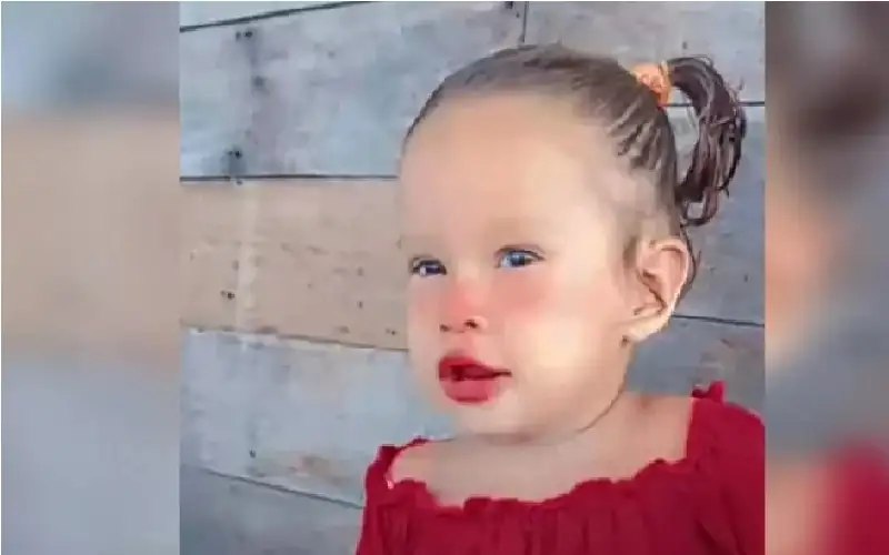 نهاية لا يتخيلها عقل.. أسماك بيرانا