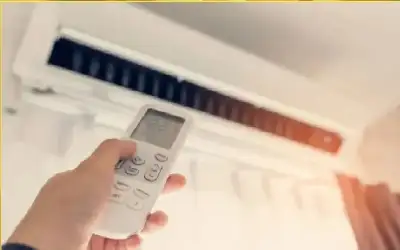 الملك يتفقد مشروعين زراعيين في الأغوار