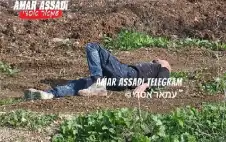 مقتل إسرائيليين وإصابة 6 آخرين دهسا