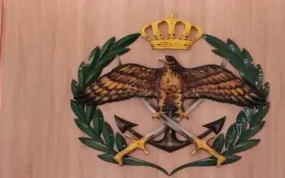 الأمانة : إزالة 185 حظيرة مخالفة