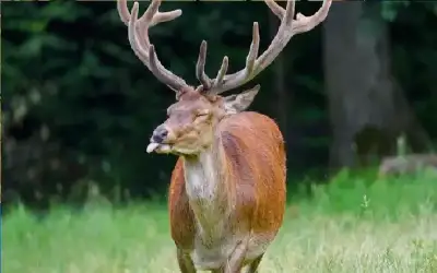 أكسيوس: إسرائيل قلقة بشأن وتيرة تسليم