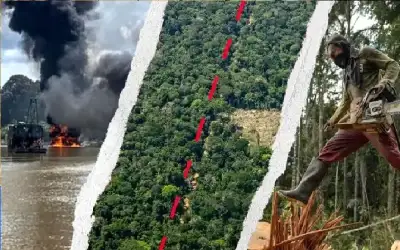 الترخيص المتنقل تتعامل مع 234 معاملة