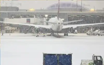 الترخيص المتنقل تتعامل مع 234 معاملة