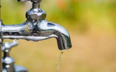 الملك: ابنتي العزيزة ياقوت الطراونة، وصلتني