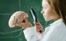 دراسة جديدة : الدماغ يبقى في