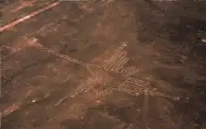 تجاوزت حدود المنطق: 7 حوادث تاريخية