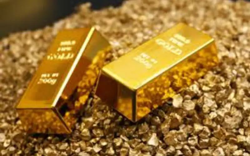 دولة في مجموعة السبع تصفر احتياطياتها