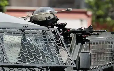 أسعار الخضار في السوق المركزي الأربعاء