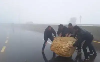 الاردن يسجل 26 وفاة و903 اصابة