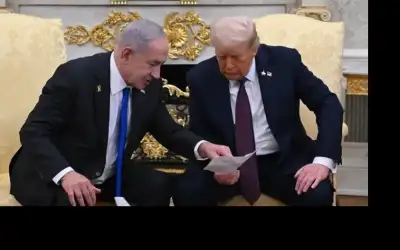 أجواء دافئة نسبيا