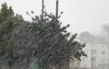 أجواء باردة تسبق منخفض جوي الخميس