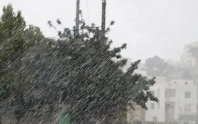 البرلمان العربي يؤكد اهتمامه بتعزيز البحث