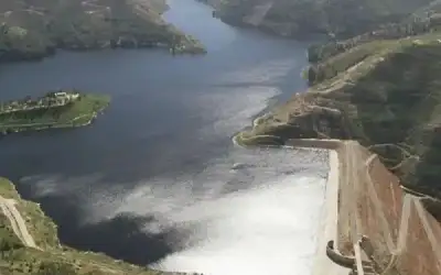 في الوقت الراهن.. طفرة الذكاء الاصطناعي