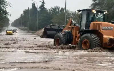 ضبط 1718 تلاعبا بأرقام لوحات المركبات