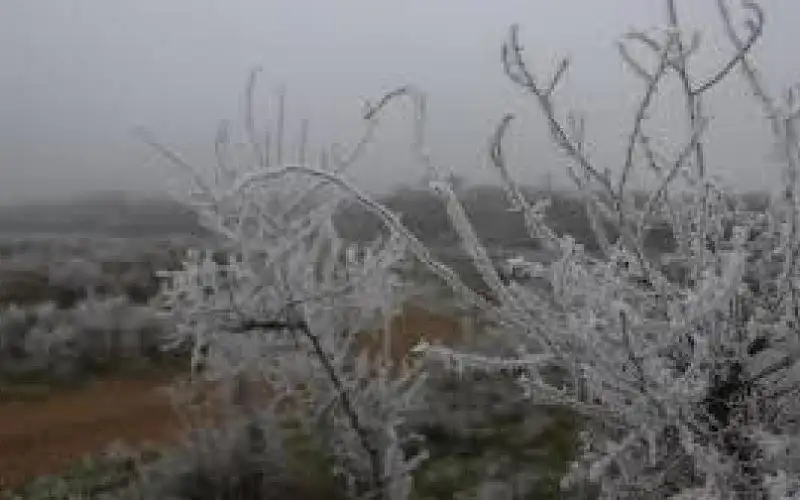 الأرصاد تحذر من تشكل الصقيع في