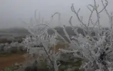 الأرصاد تحذر من تشكل الصقيع في