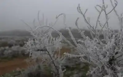 بدء سريان حظر التجول في اللاذقية